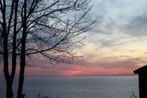 Cheerful life at cottage on Lake Erie